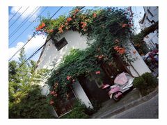 -陈八两面家(华孚写字楼店)