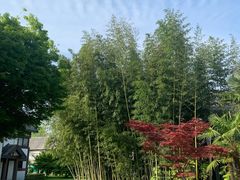 -太阳岛度假酒店