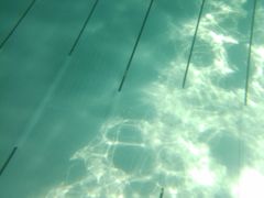 -重庆市奥林匹克体育中心-游泳跳水馆