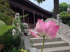 iphone_upload_pic-檀园