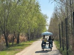 -盐城丹顶鹤湿地生态旅游区