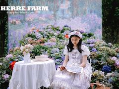 -HERRE·FARM 赫尔露营农场·团建聚会包场