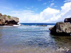 -味多美蛋糕(六里桥店)