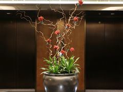 -广州花园酒店