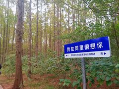 -同里国家湿地公园