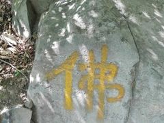 -阳台山自然风景区