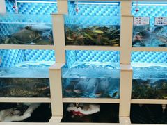 -野渡坡·极致湘菜·庭院餐厅(汉阳店)