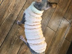 -more than meow吴止猫主题餐厅(承德 中船汇店)