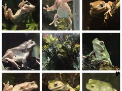 -上海大自然野生昆虫馆(东方明珠·爬宠昆虫探索中心)