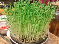 -好彩猪肚鸡(正弘城店)