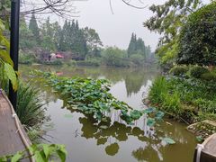 -夏河溪乡野公园