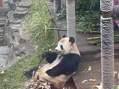 -大连森林动物园