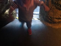 -暹罗海洋世界