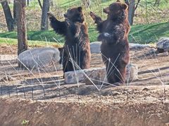 -北京野生动物园