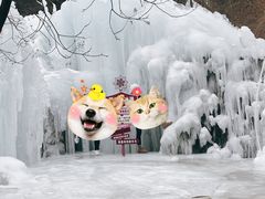-爱情山风景区