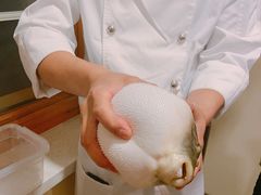 -天正河鲀·河豚亭(大连店)