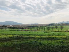 -光明小镇欢乐田园