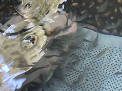 -厦门日月谷温泉渡假村