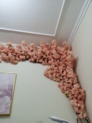 -VE专注问题肌·赛诺龙&科学美肤中心