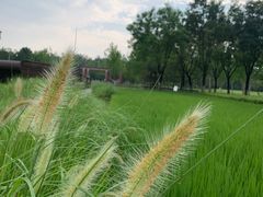-北坞公园