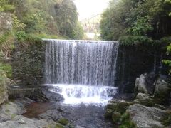 -祁门牯牛降观音堂风景区