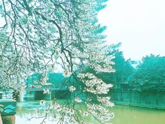 -红星桥(地铁站)