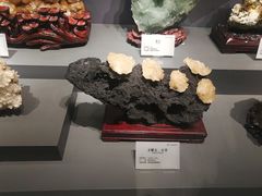 -湖南省地质博物馆