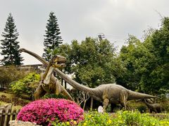 -自贡恐龙博物馆