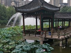 -龙头寺公园