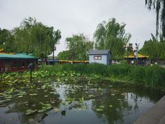 -济南大明湖景区