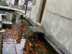 -前童古镇