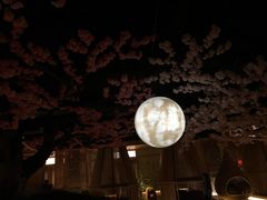 大堂-蓝鲸湾汤泉(包河店)