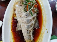 招牌鲈鱼-金阁家常菜(贵阳路店)