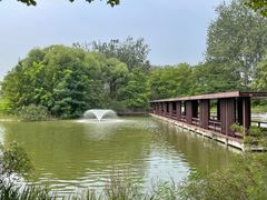 -翠湖国家城市湿地公园