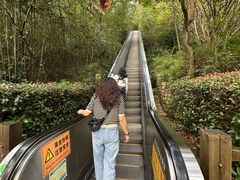 -天目湖山水园