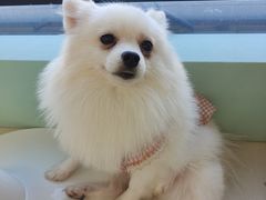 -怪兽屋·羊驼·猫咖·狗咖(俊华广场店)