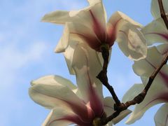 -桃源居(蠡园店)