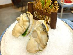 深海生蚝-喜聚薈·花膠雞海鮮火鍋(越秀店)