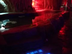 -龙达温泉生态城