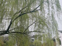 -和茶馆(西溪栖悦城店)