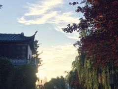 -月湖风景区