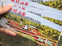 -宁波浙东大竹海景区
