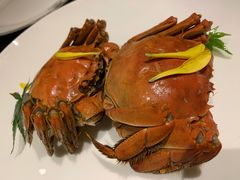 -甄御•海鲜新青岛菜(麦岛店)