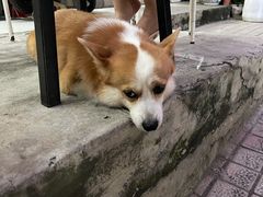 栗子-小梁哥云吞面(黄贝岭店)