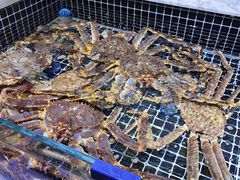 -开海·红岛海鲜虾水饺(石老人店)