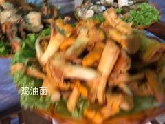-易门野生菌府·菌海森林(月牙潭公园店)