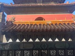 -北陵公园
