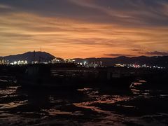 -北岐滩涂