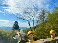 -莫干山风景区