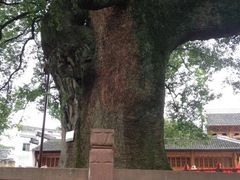 -屯溪老街